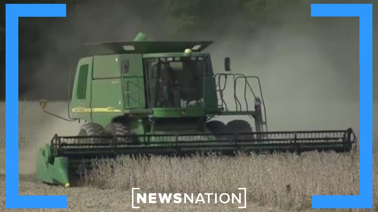 Farm debt grows as crop prices sink | Morning in America