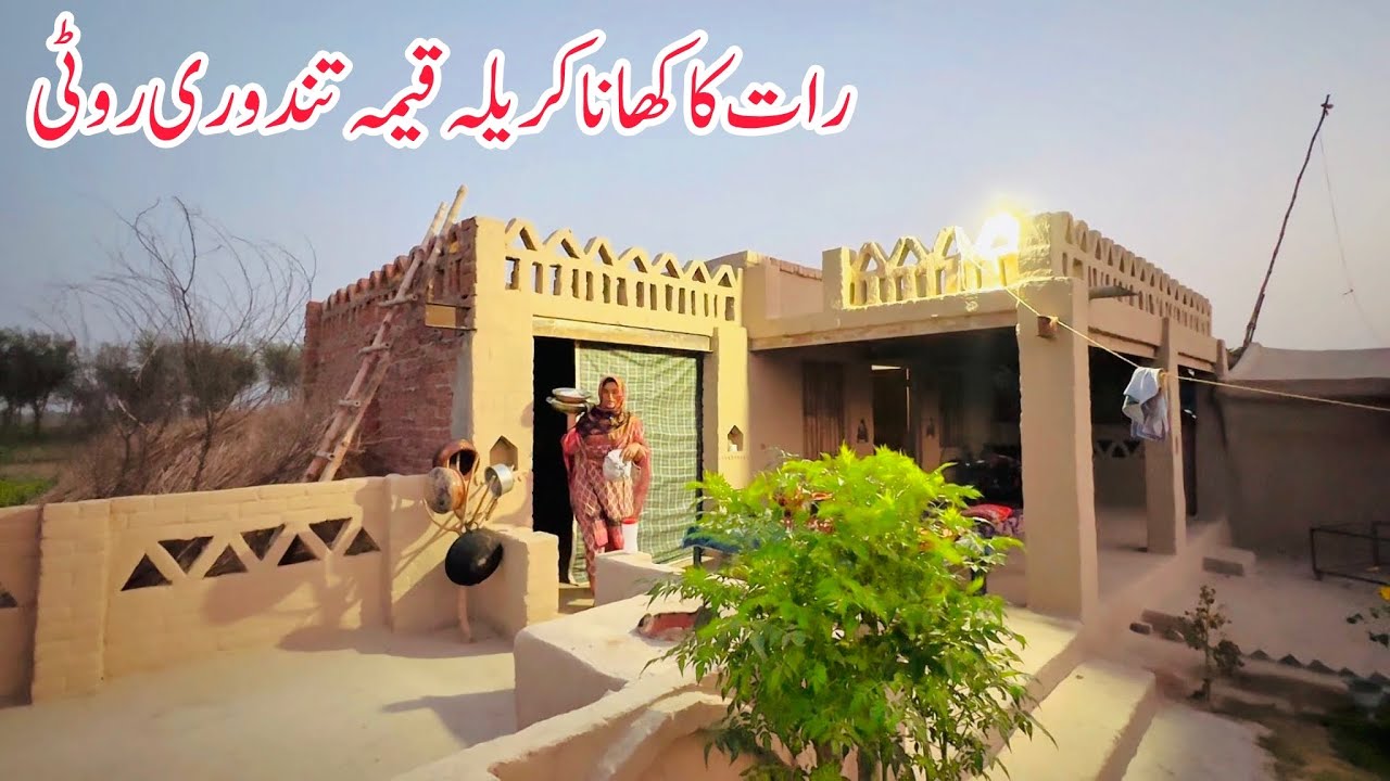 Raat Ka Khana Kareela Keema, Tandoori Roti 🏚️🥗🌳 II Happy Joint Family