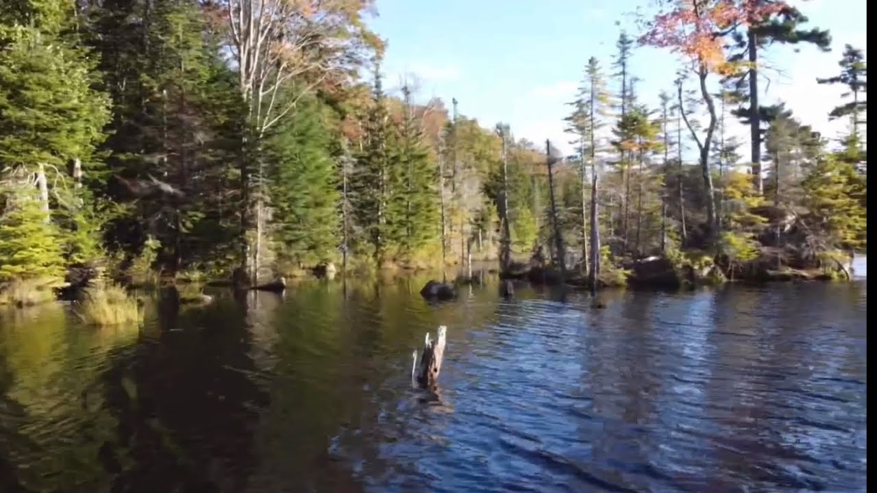 Vermont Backroad Surprise - Green Mountain National Forest