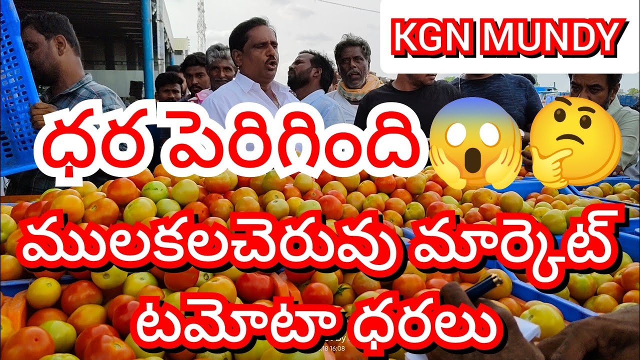 19-03-26 MULAKALACHERUVU tomato market prices today Today tomato market prices in MULAKALACHERUVU