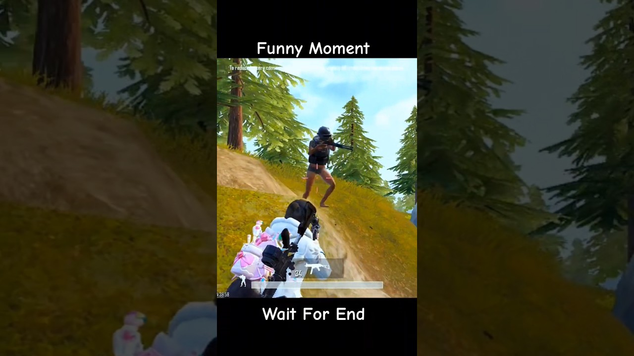 Funny Video  