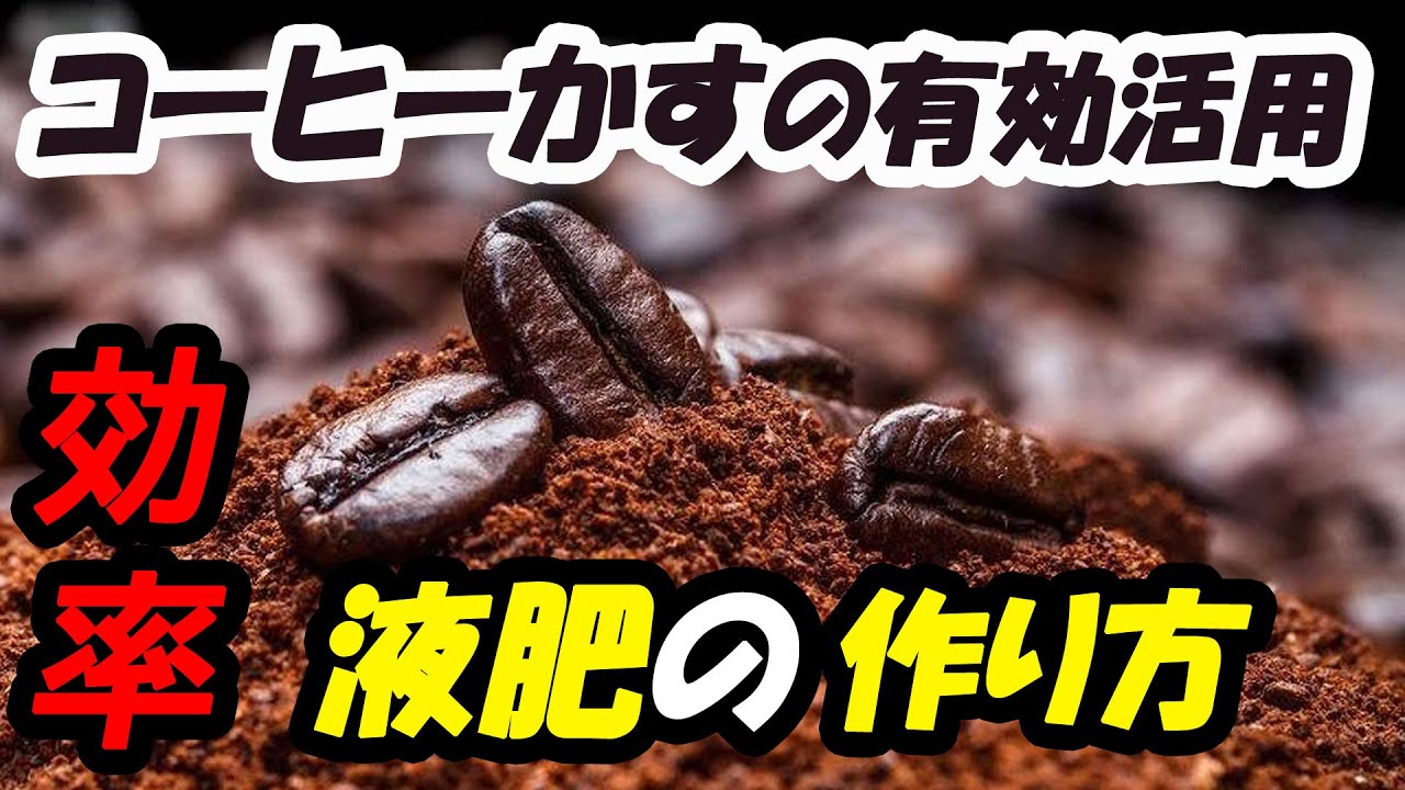 コーヒーの出がらしで有機液肥を作る方法