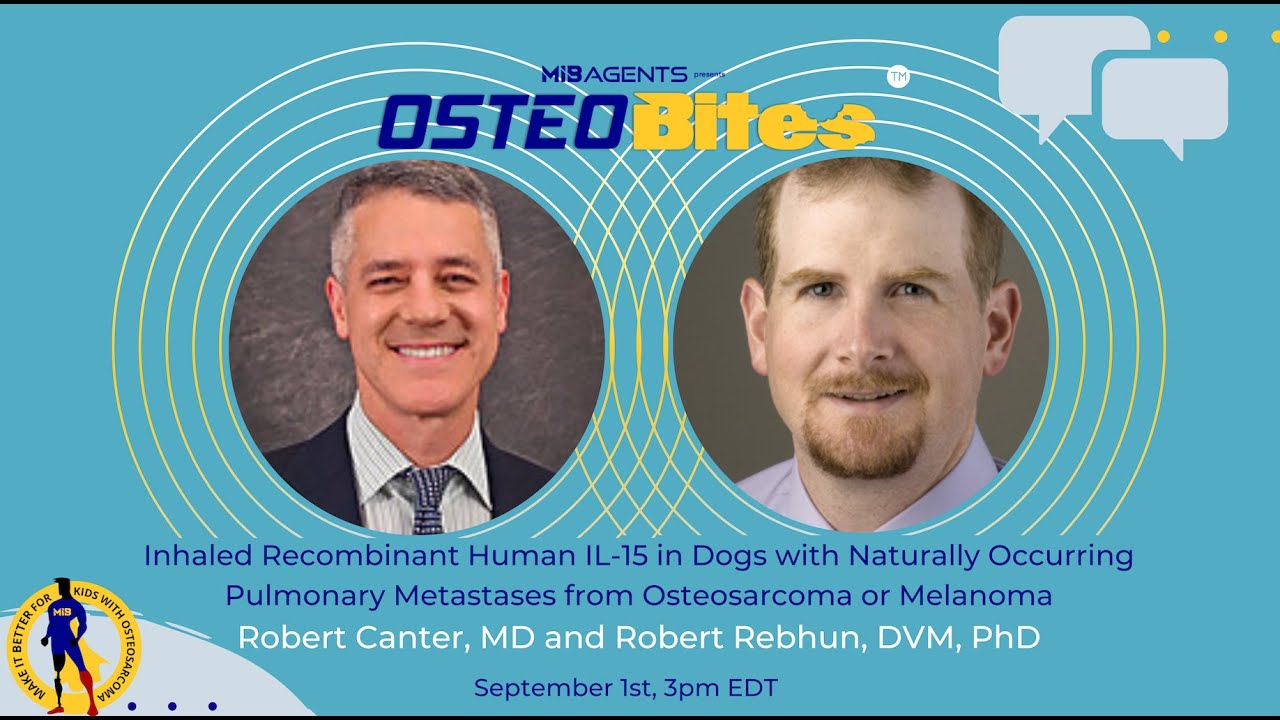 Inhaled Recombinant Human IL-15 in Dogs with Pulmonary Metastases from Osteosarcoma or Melanoma