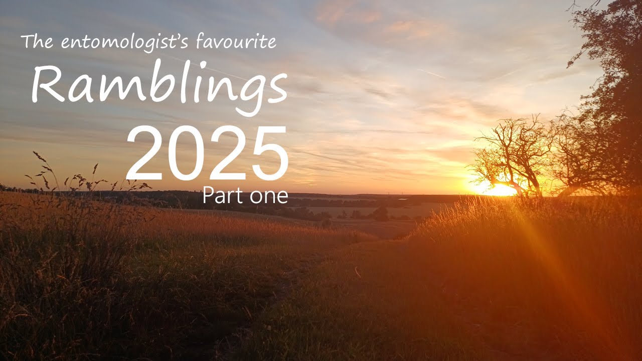 The entomologist's favourite ramblings of 2025 (Part 1)