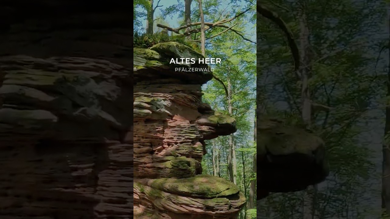 Altes Heer - spektakuläre Felsen im Pfälzerwald 