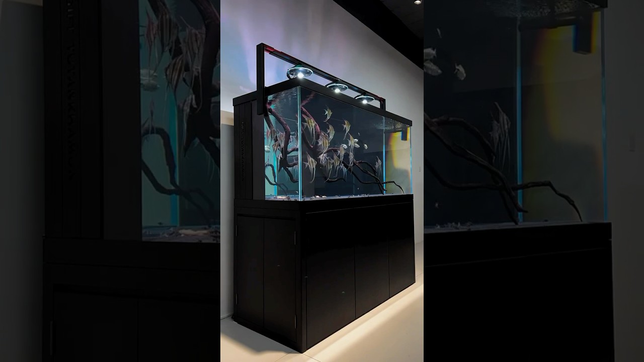 Принимаю заказы от моделей Wild Altum 🔥