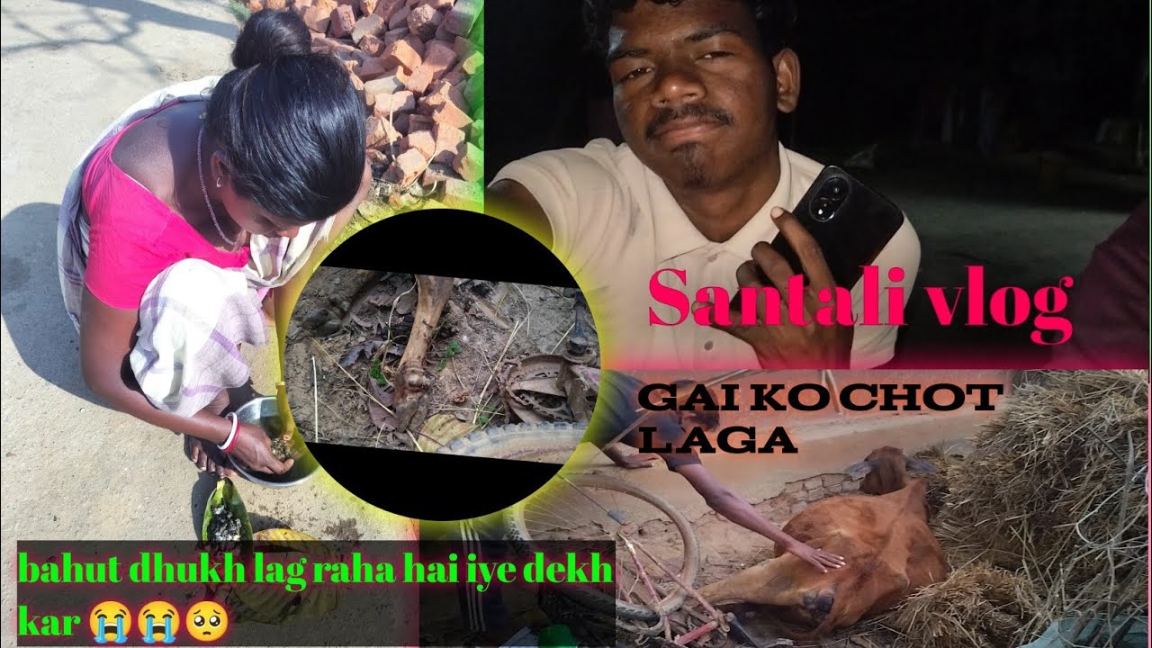Ghar ka vlog gai ko chot lag gaya bahut dukh lag raha hai 😭😭🥺 santali vlogs video 