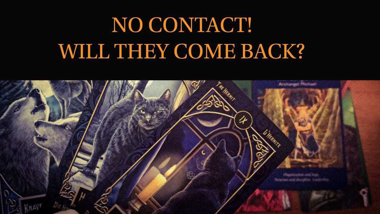PICK A CARD: NO CONTACT. FEELINGS, ACTIONS, OUTCOME. TAROT TIMELESS READING.