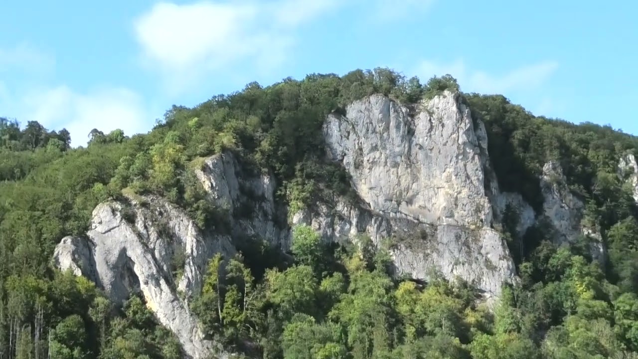 LA TIERRA DE NADIE: El Paisaje Solitario hacia SIGMARINGEN Interrumpido por Ladridos ( 0073 )