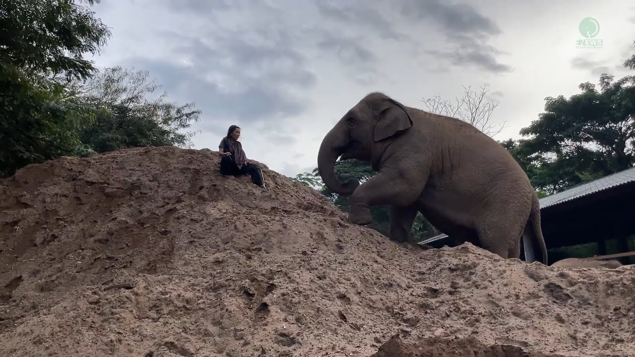 Уверенные и умные стринги Ae — ElephantNews