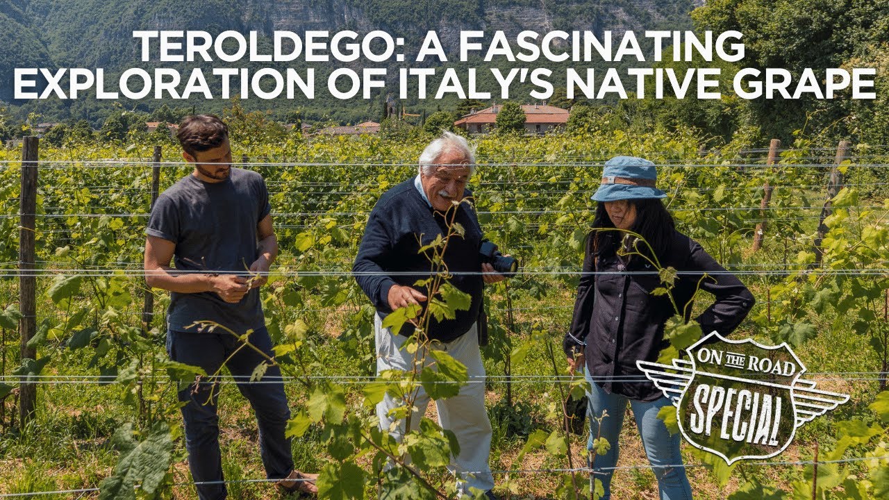 Foradori Winery, Travel Italy! (Italian Wine Podcasts' 'On the Road Edition' with Stevie Kim)