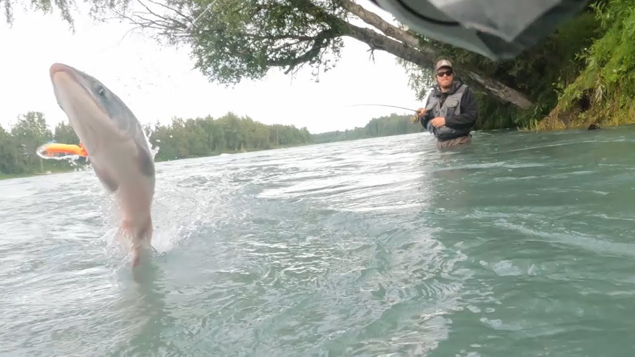 Catching Salmon We Can Finally Keep! | 2023 Kenai River Fishing, Smoked & Canned