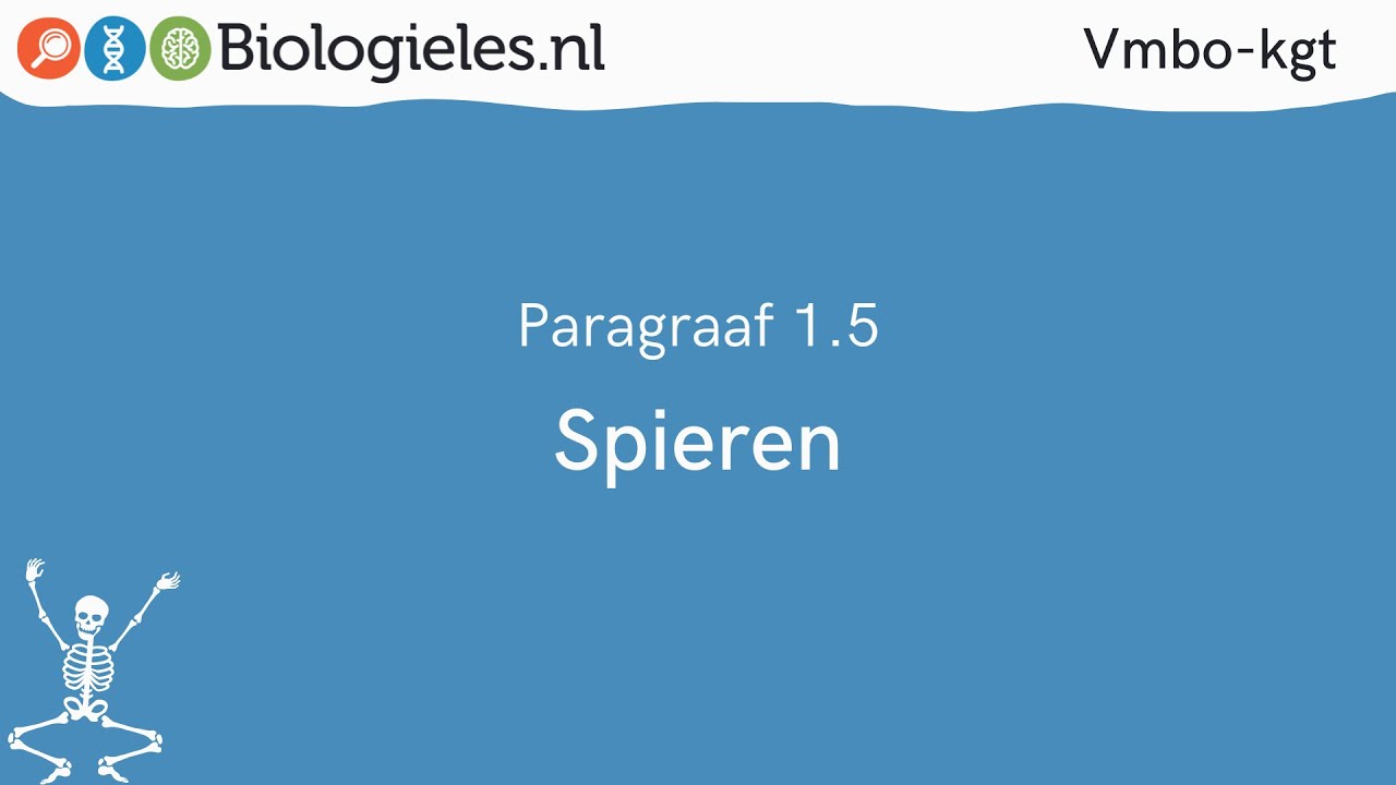 Havo Vwo 1 | Stevigheid en beweging | 5. Spieren | Biologieles.nl