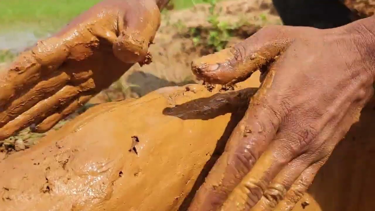 Easy Trap Fishing | Catch Fish With Trap | New Fishing Video 2023