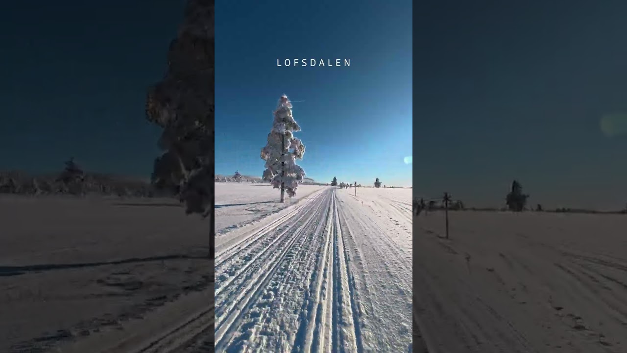 Skoterleden Åsvallsleden och Norra leden i Lofsdalen 2026-01-29
