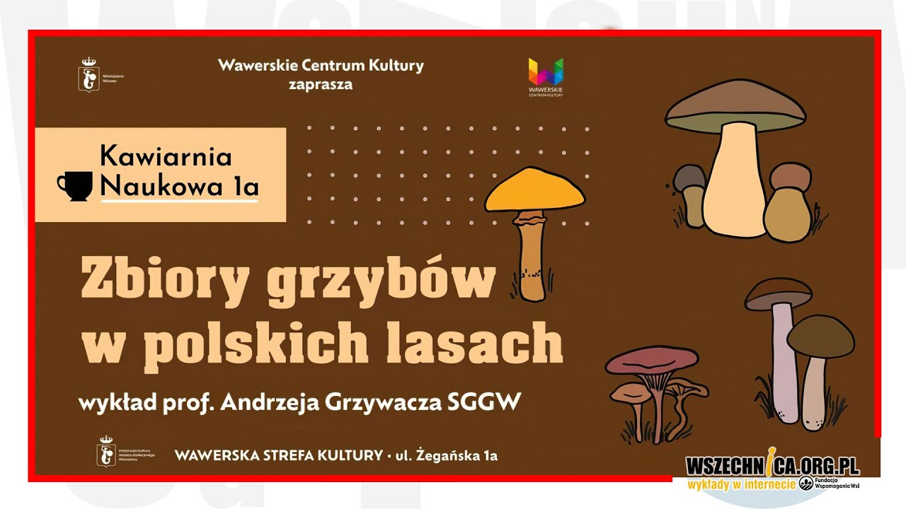 Zbiory grzybów w polskich lasach / prof. Andrzej Grzywacz