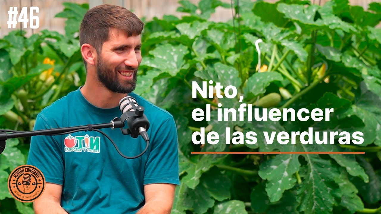 Llevando las frutas y verduras a las redes sociales. Nito, el frutero influencer | Ep 46