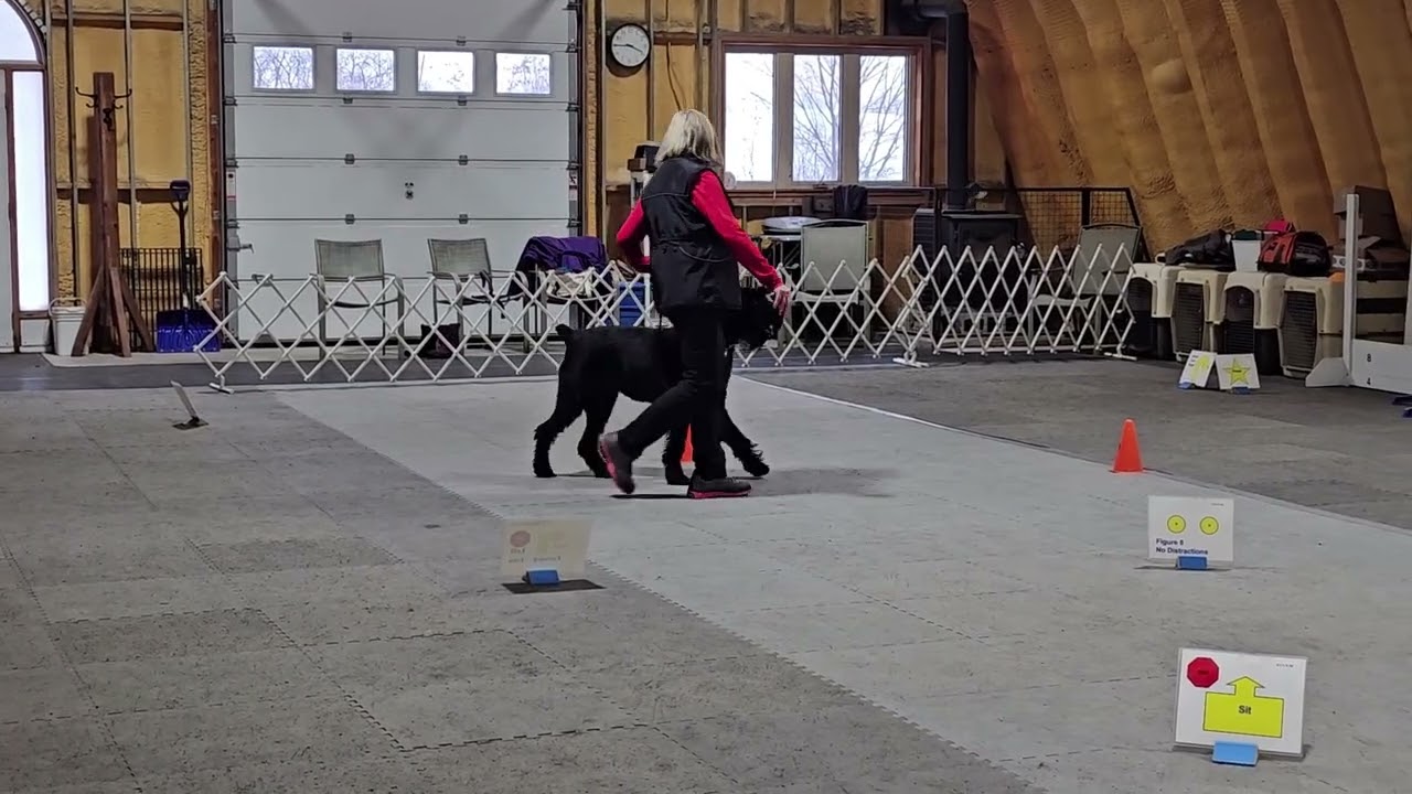 AKC RN3