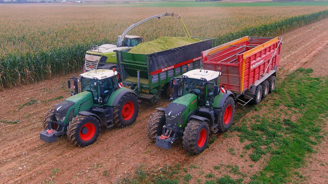 Mais 2024 : Claas Jaguar 990 | LU Steyns | Fendt 942 | Bergmann | Maisernte | Mais harvest | JCB