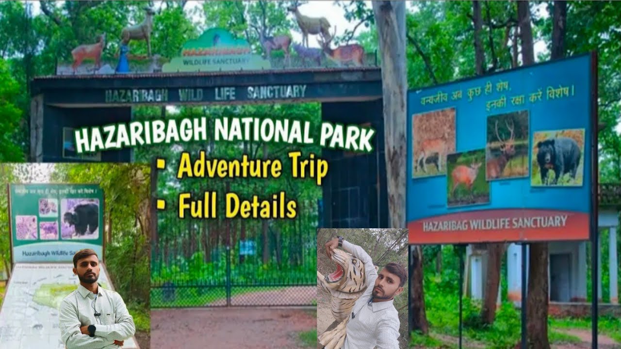 National Park / Wild Life Sanctuary Park Hazaribagh  / Jharkhand