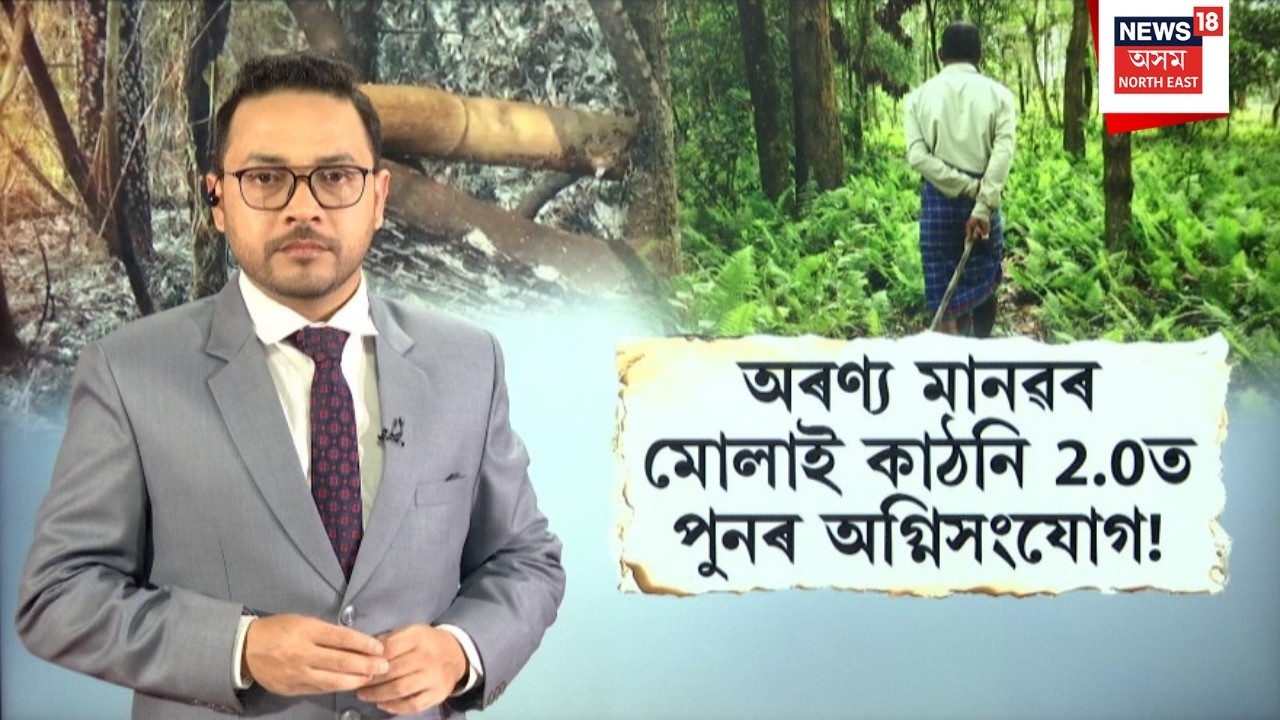 Jadav Payeng | দুৰ্বৃত্তৰ টাৰ্গেটত যাদৱ পায়েঙৰ মোলাই কাঠনি 2 0 ! Molai Kathoni   N18V