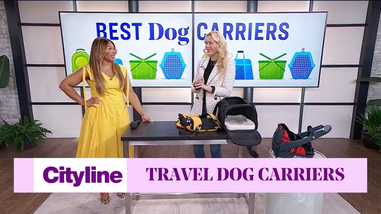 5 popular dog carriers to to travel with