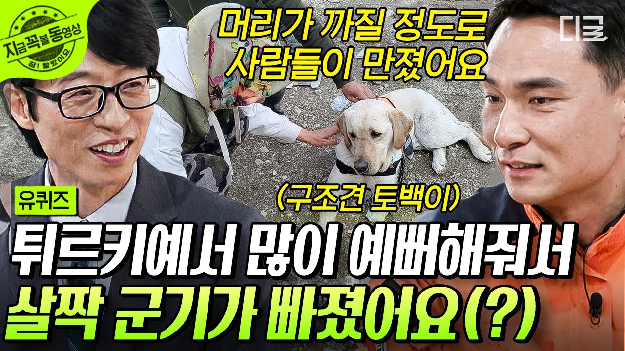 [#유퀴즈온더블럭] 튀르키예에서 인기의 맛을 본 구조견 '토백이'💖 피해 현장에서 30명의 몫을 해내는 구조견들🐶 #튀르키예구호대