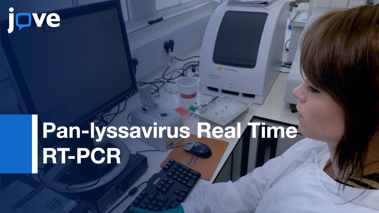Pan-lyssavirus Real Time RT-PCR for Rabies Diagnosis | Protocol Preview