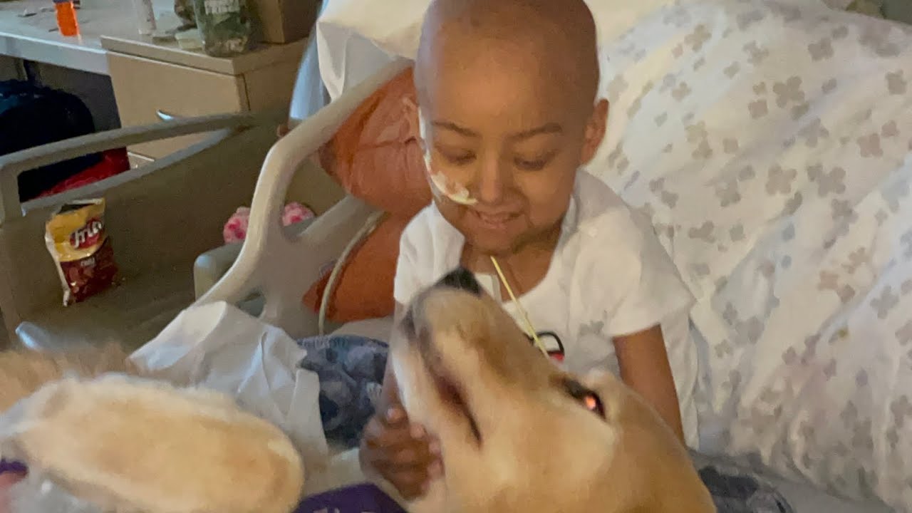 Dear Cancer, just stop already