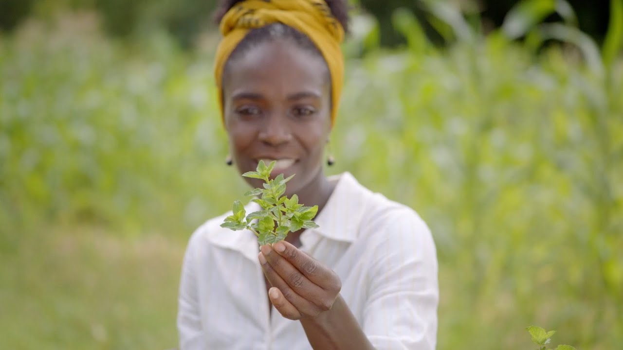 30 Day Harvest: Vegetables and Herbs - Official Trailer | Workshops | Magnolia Network