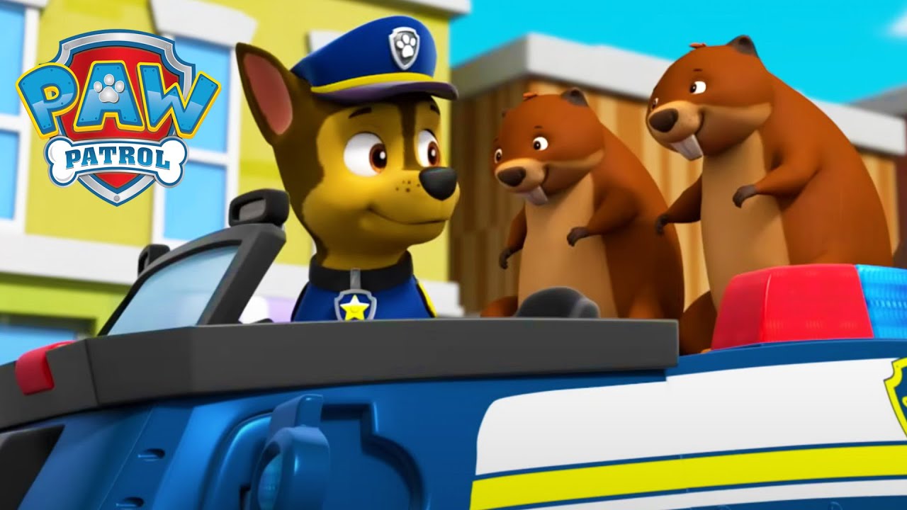 Animal Rescues! - PAW Patrol UK - Cartoons for Kids Compilation
