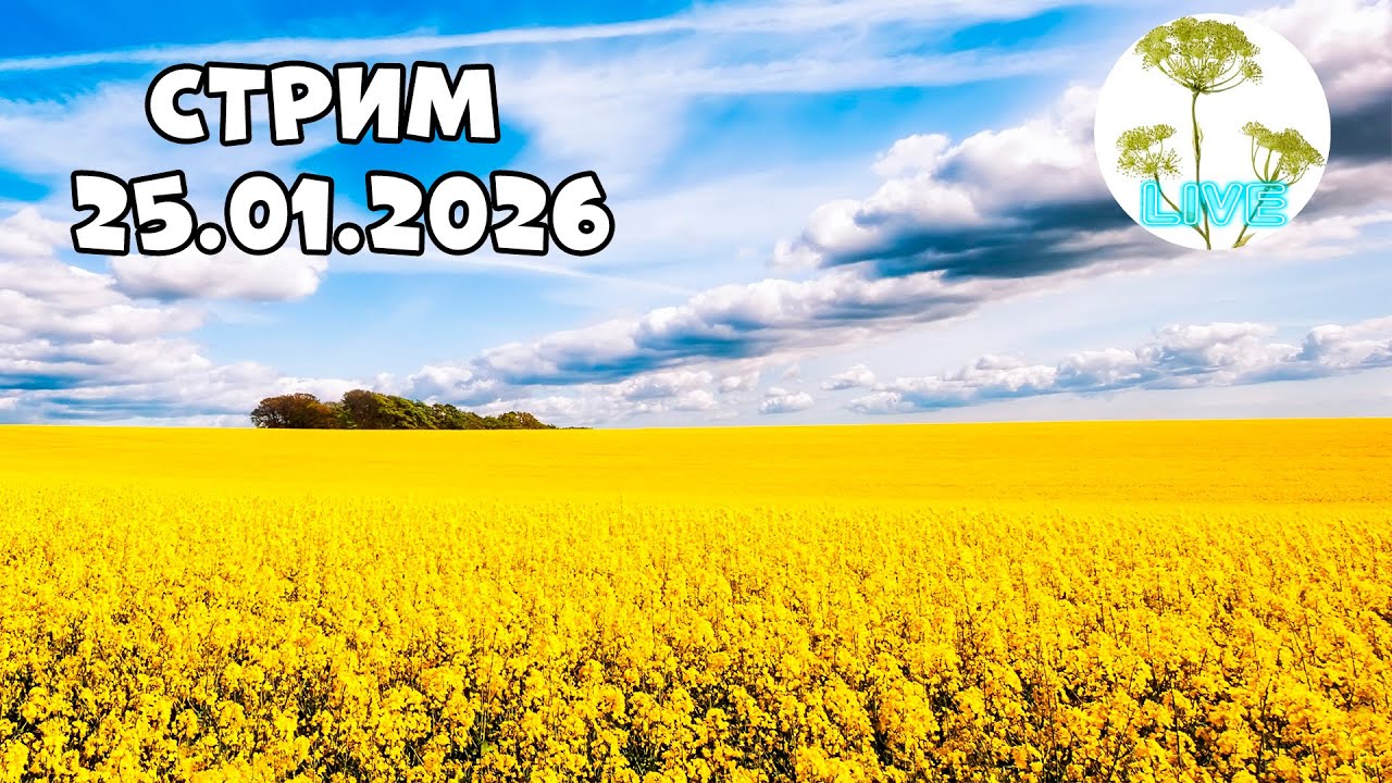 Стрим 25.01.2026 Гренландия, мадуро, тармп, ЕС, Украина...