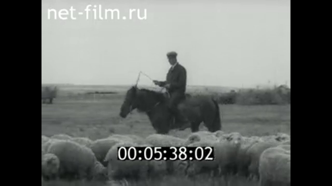 1979г. дер. Борок Куртамышский район Курганская обл