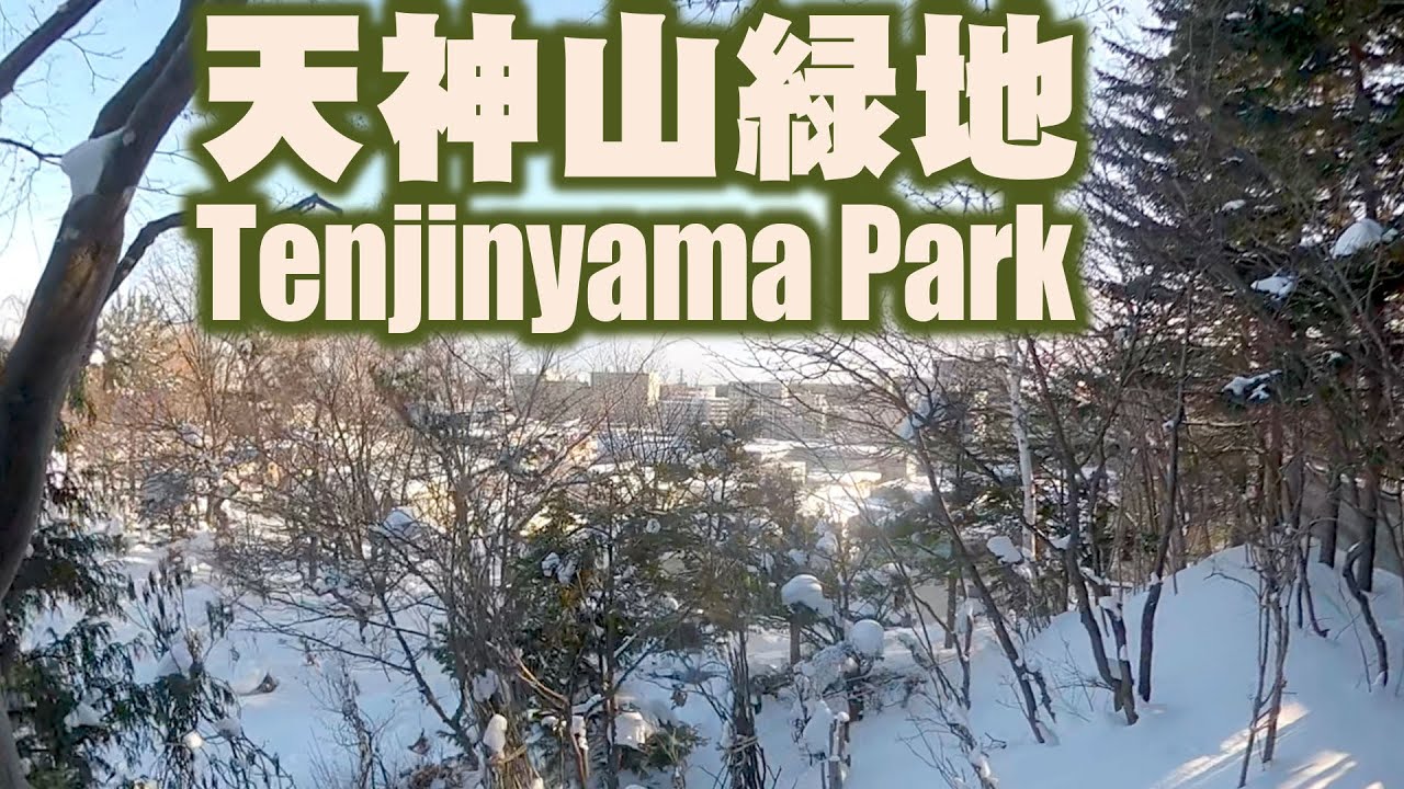 冬の天神山緑地　I took a walk in the snow-covered Tenjinyama Park.