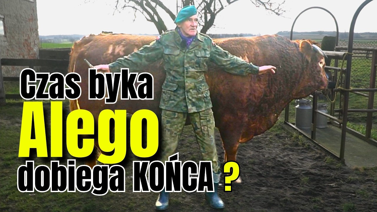 Romek ROZSTAJE się z BYKIEM Ali? Czas ich wspólnej drogi dobiega końca