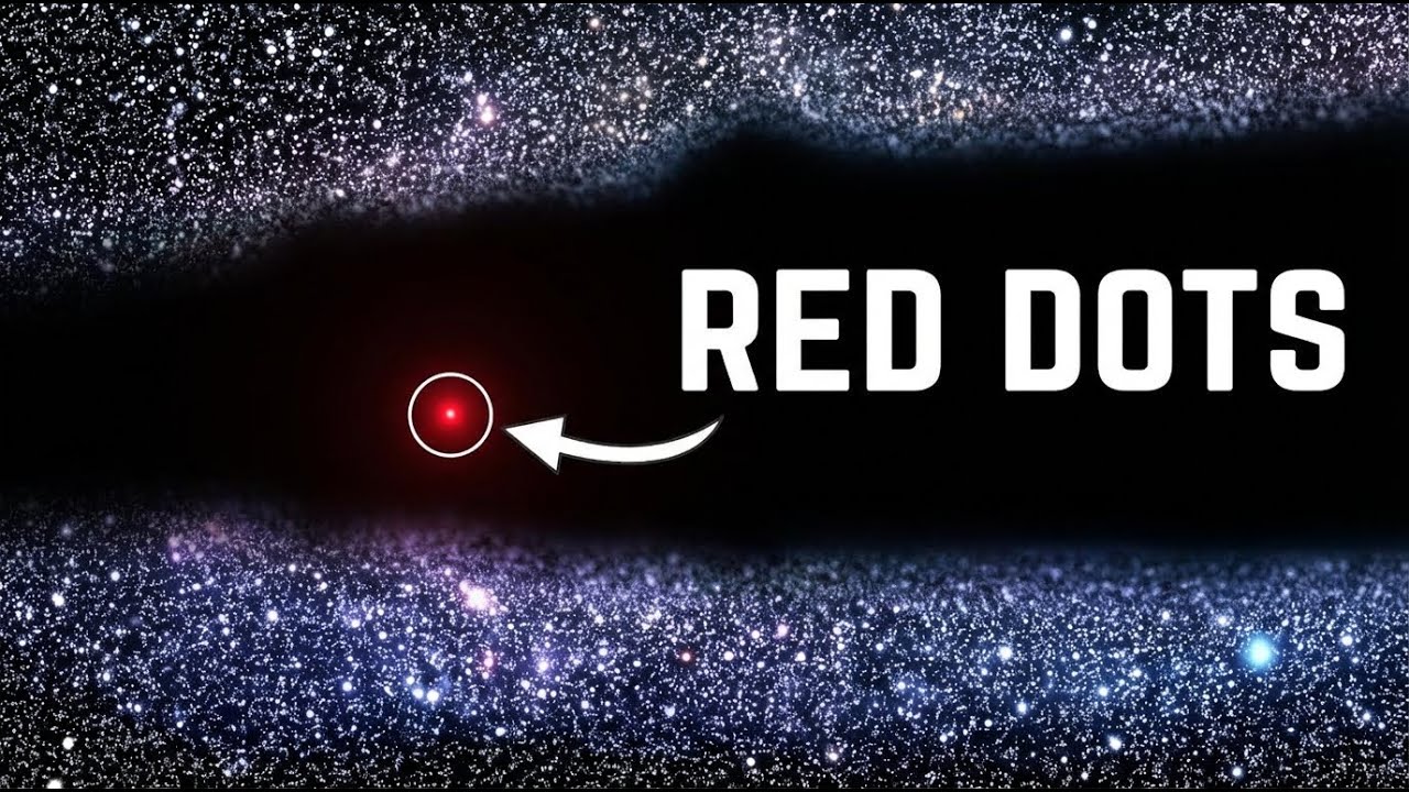 The 