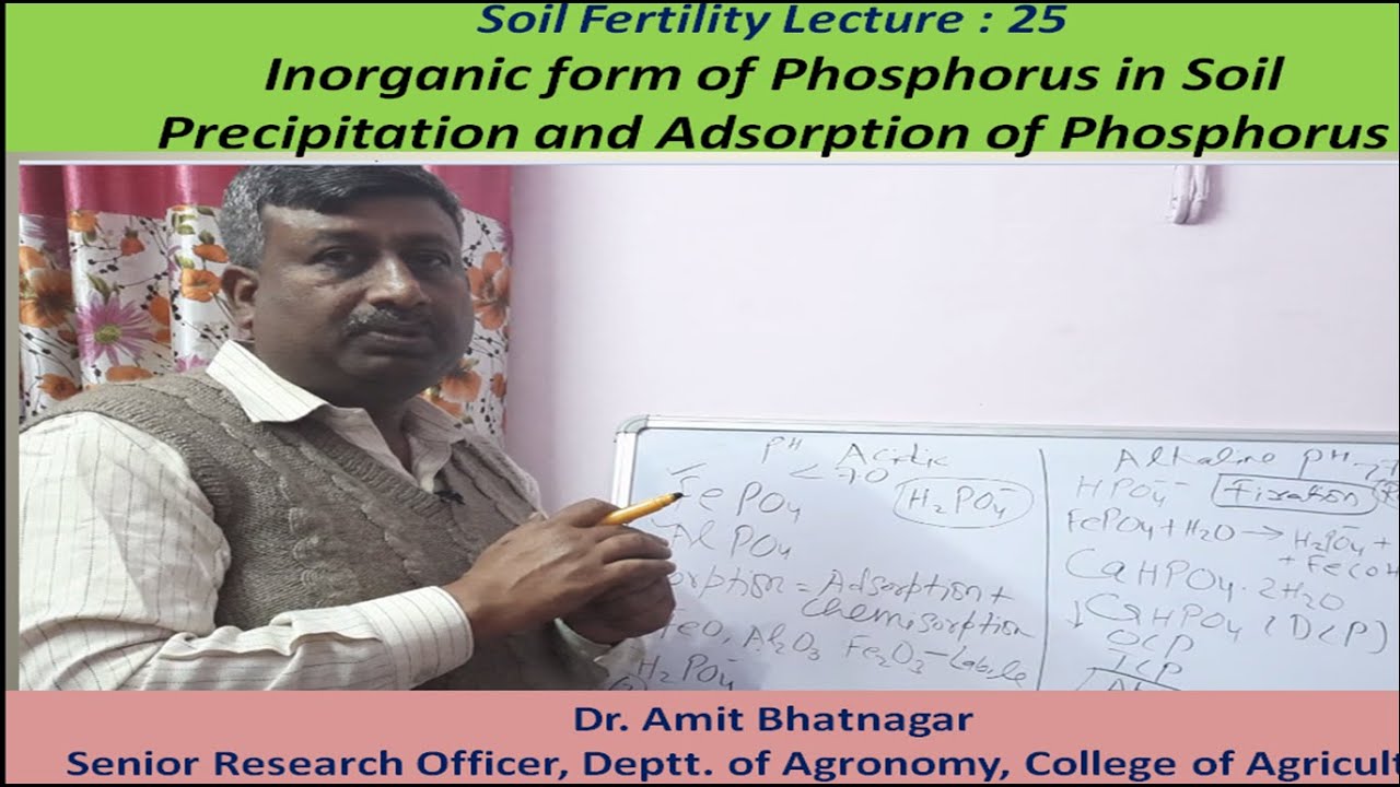 Inorganic Form of Phosphorus in Soil