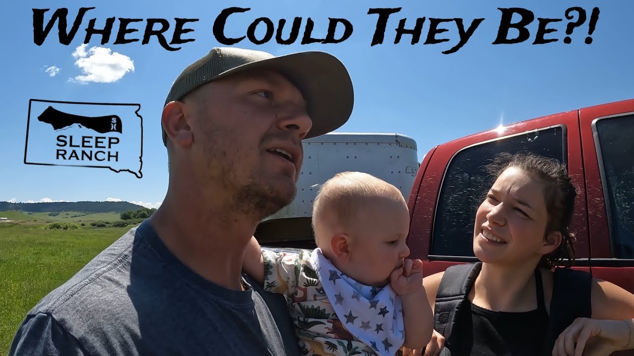 We Lost Some Cows&hellip;