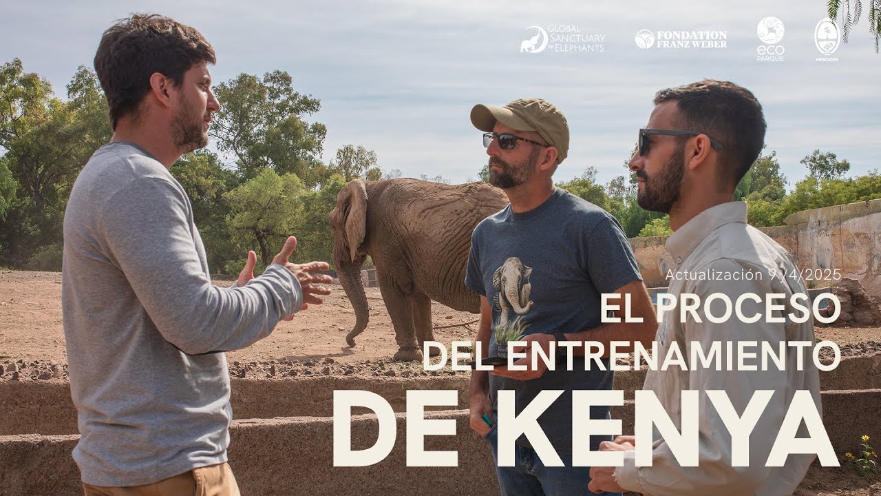 El proceso del entrenamiento de Kenya - Actualización 9/4/2025
