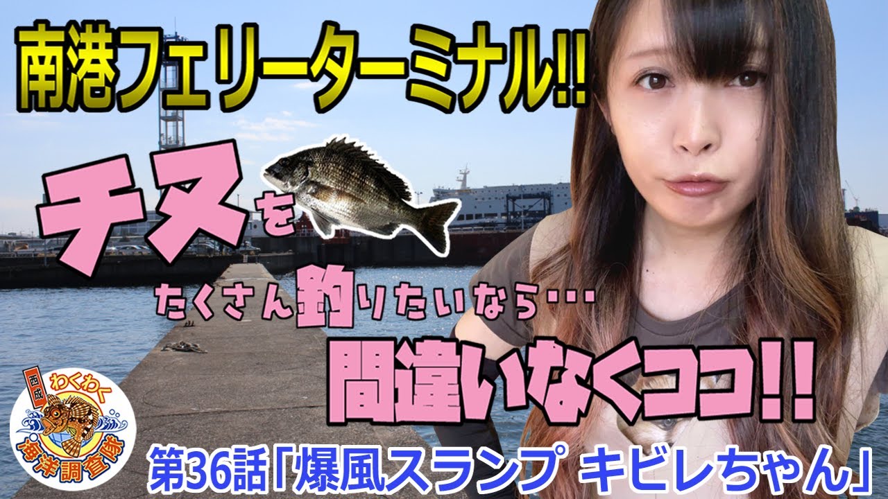 【南港フェリーターミナル】エビ撒きで爆釣!!チヌ・ハネが釣りたい人に絶対オススメ!!第36話「爆風スランプ キビレちゃん」