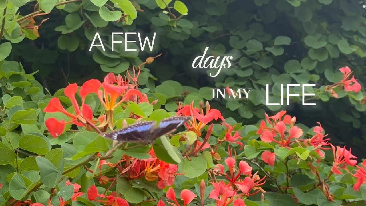 Some slow days during rain season