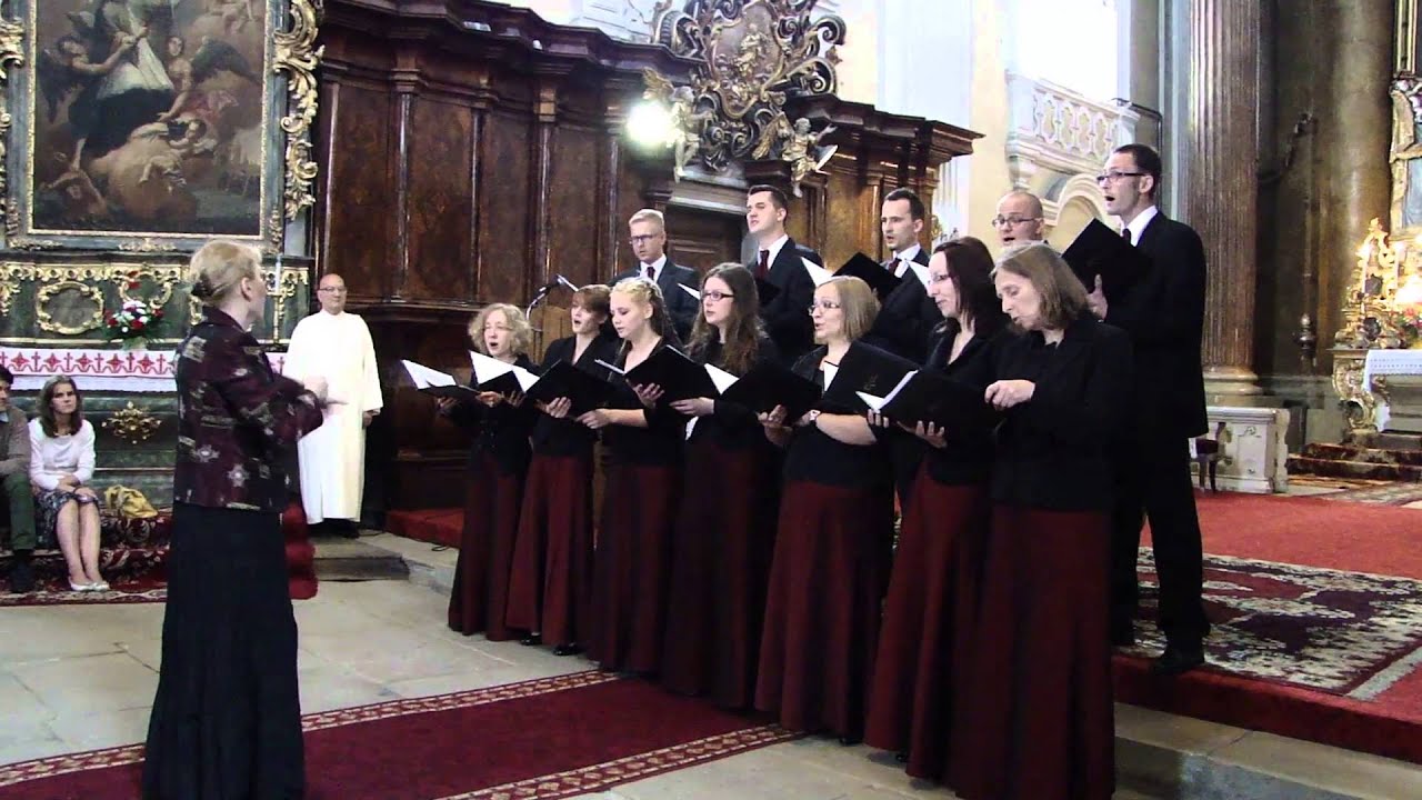 Camerata Varsovia w Cluj 04