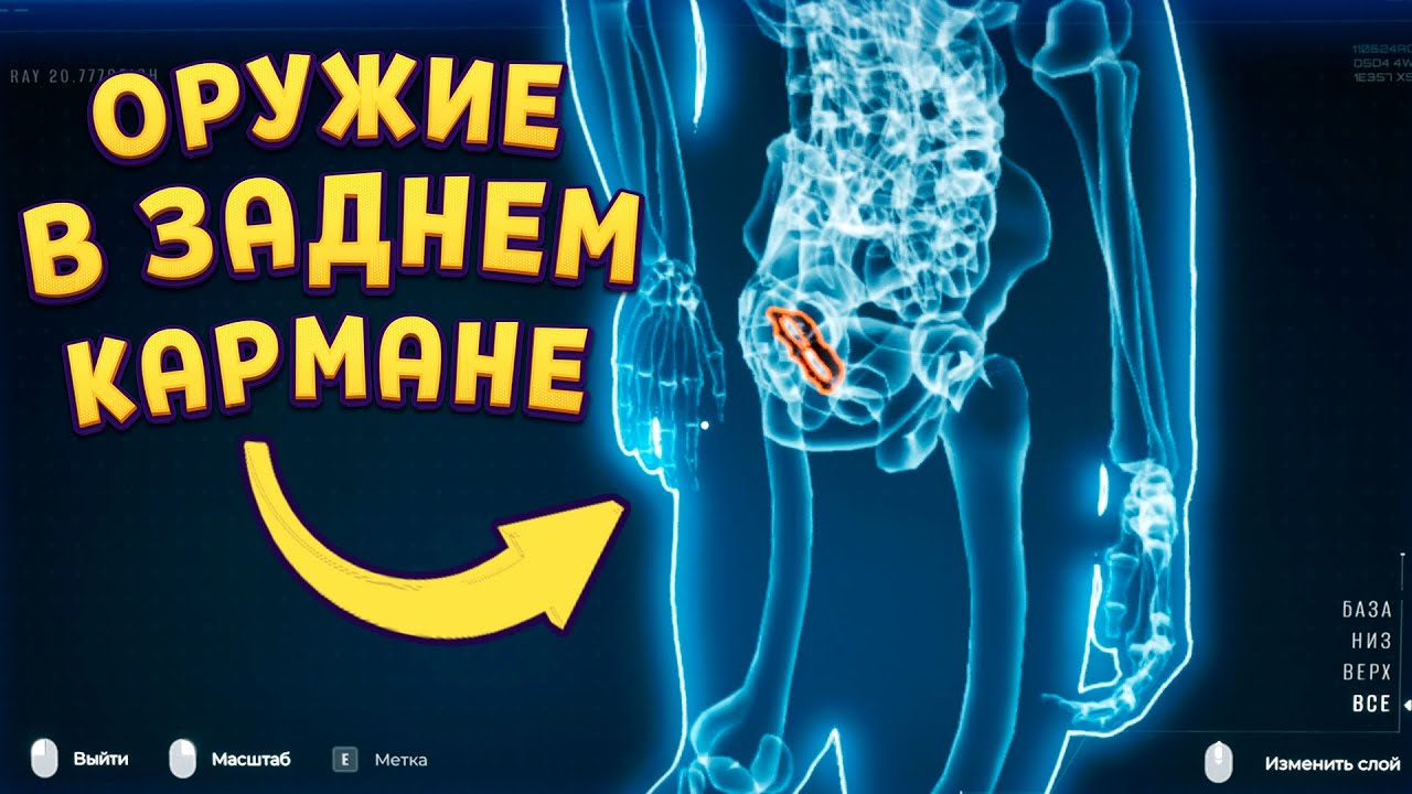 ОРУЖИЕ В ЗАДНЕМ КАРМАНЕ ( Quarantine Zone: The Last Check )