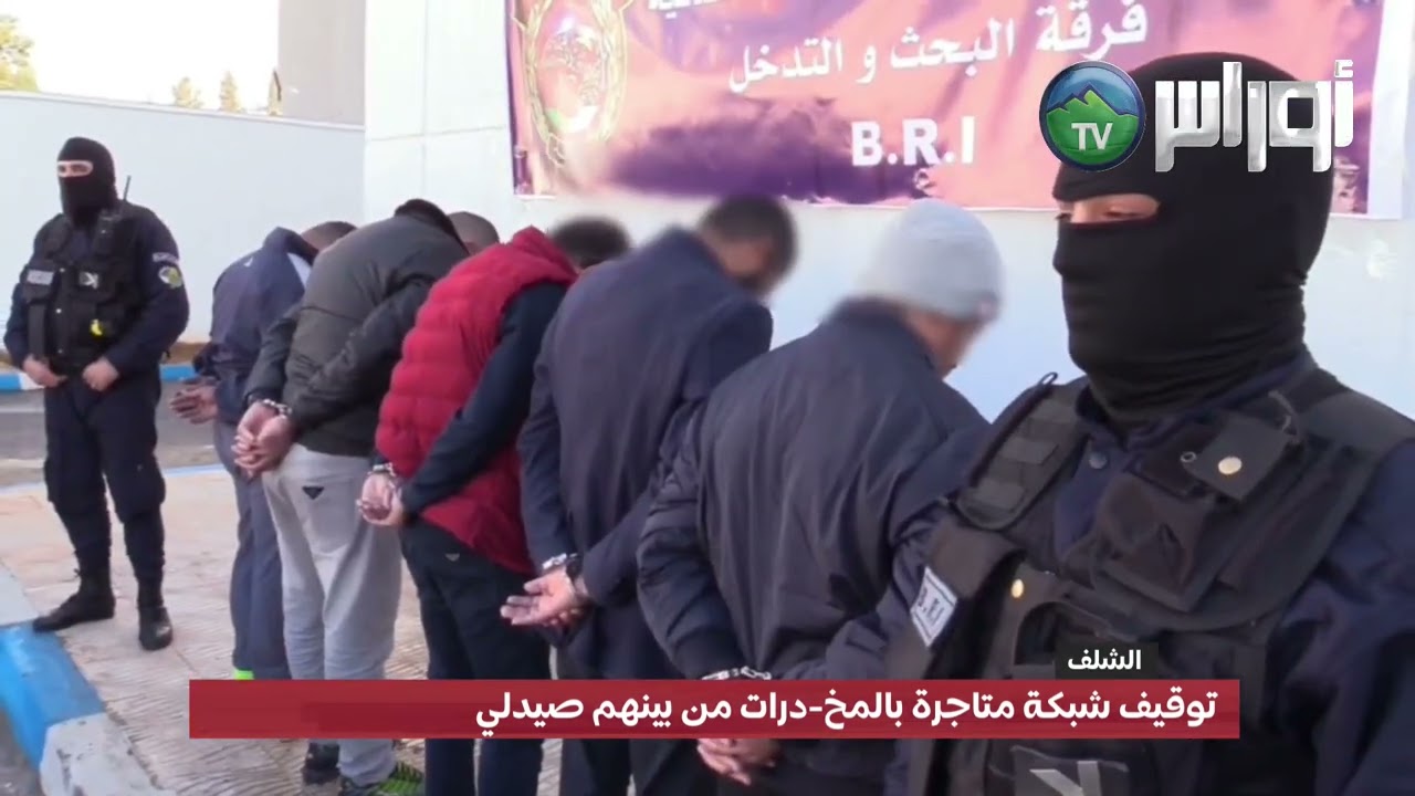 #الشلف توقيف شبكة متاجرة بالمخ-درات من بينهم صيدلي