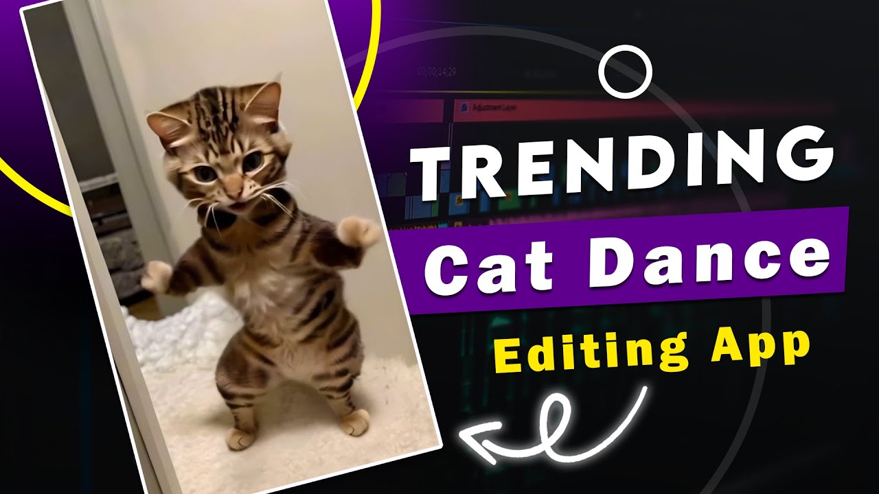 Viral Cat Dance Trending Ai App Editing Tutorial