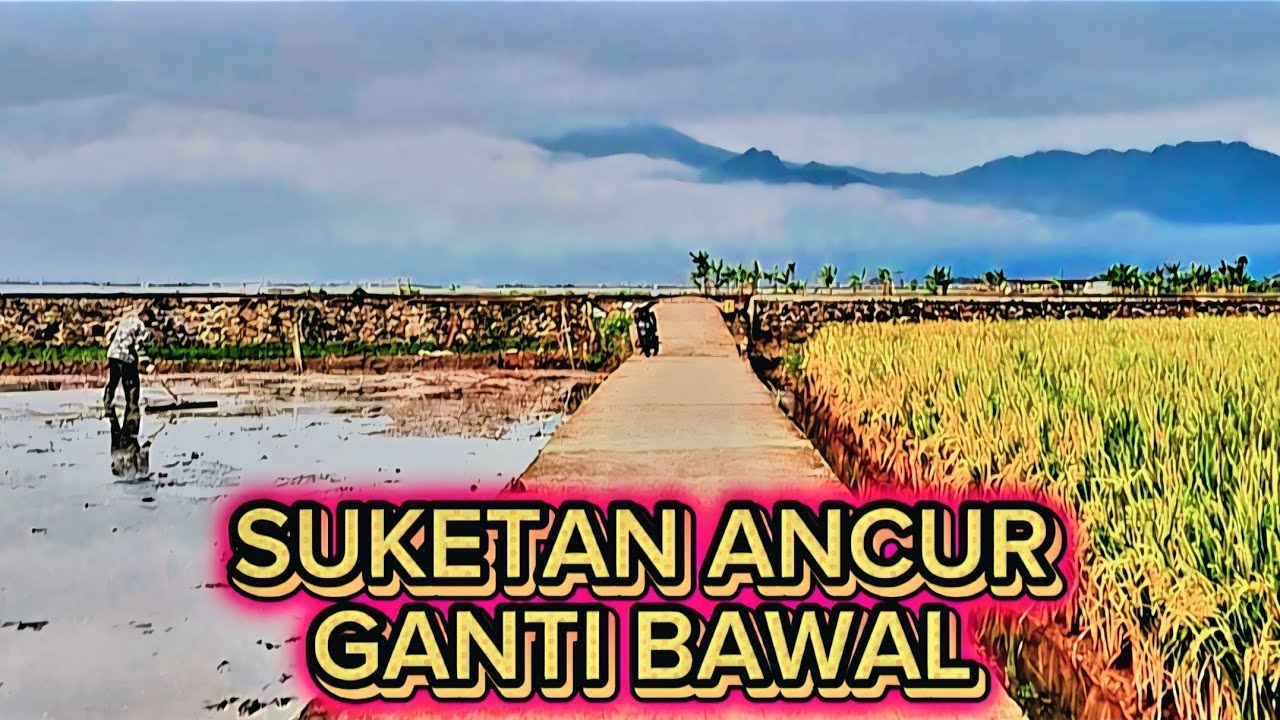 Bawal rawa // mancing rawa pening