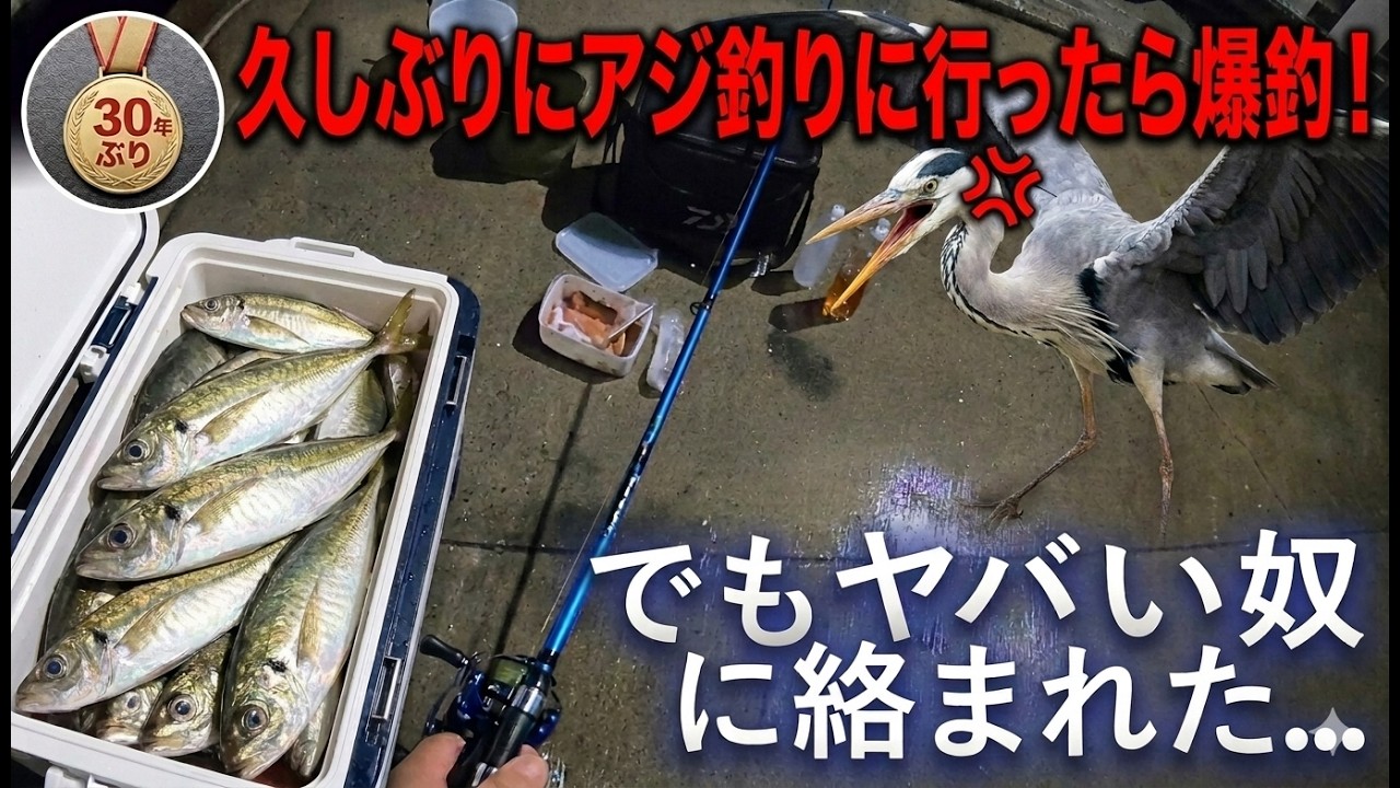 30年ぶりにアジ釣りにいったらキレられました