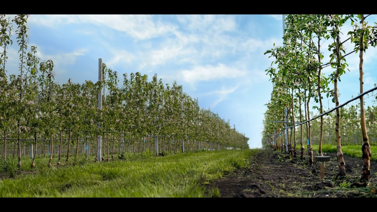 Alperia Smartland &ndash; Innovation in der Landwirtschaft.