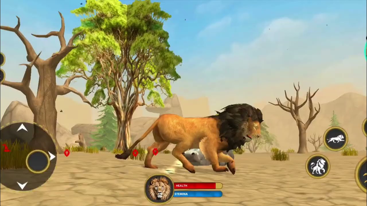 Lion animal simulator in jungle