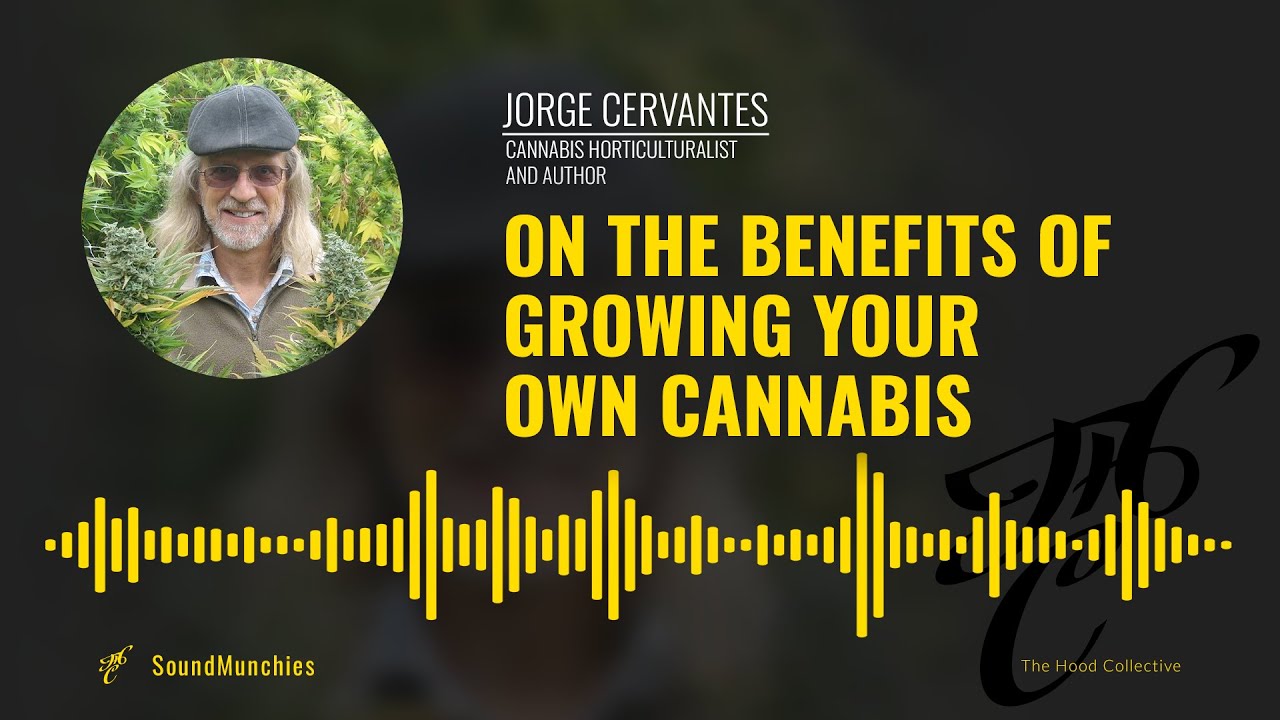 Interview With Jorge Cervantes - The Benefits Of Growing Your Own Cannabis